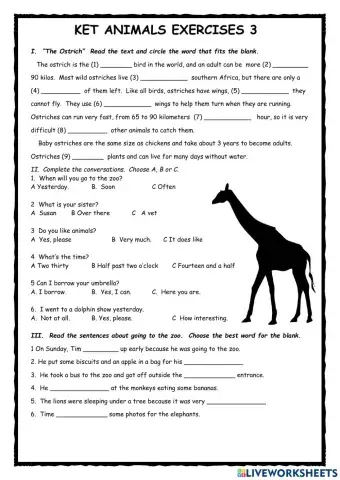 KET Exam Practice Animals 3
