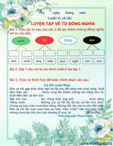LT về từ đồng nghĩa