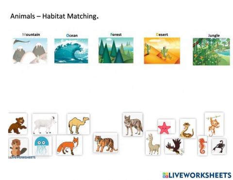 Animals Habitat Matching