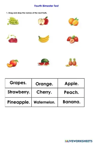 Fourth Bimester Test