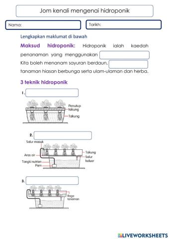 Jom Kenali Hidroponik