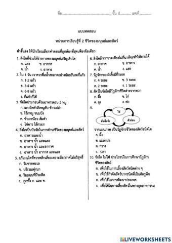 แบบทดสอบ เรื่อง ชีวิตของมนุษย์และสัตว์