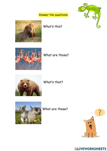 Poptropica Islands 2 - Unit 5 Test