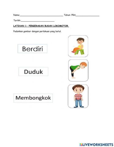 Pergerakan  bukan lokomotor