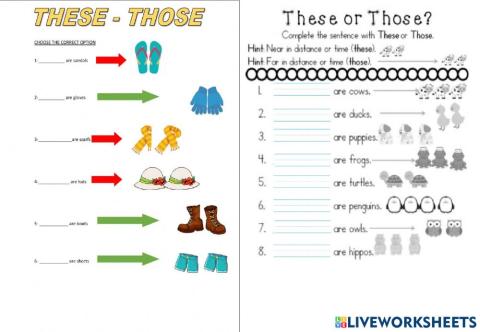 Demonstrative pronouns