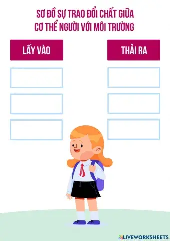 Sơ đồ sự trao đổi chất giữa cơ thể người với môi trường