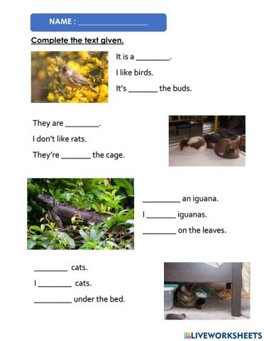 Unit3: pet show - writing