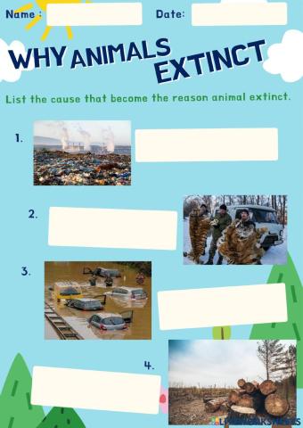 Endanged Animals Exercise