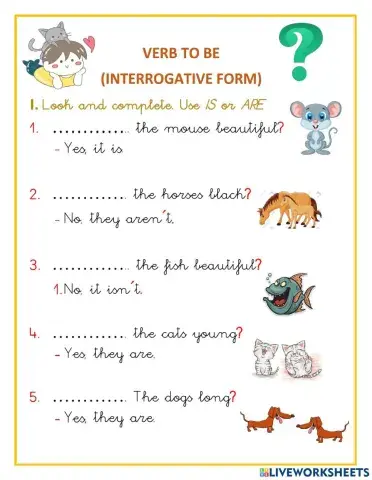 Verb to be Questions