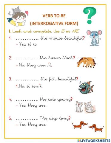 Verb to be Questions