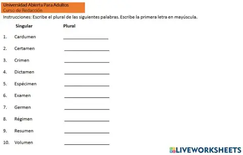 Spanish: Singluar and plural