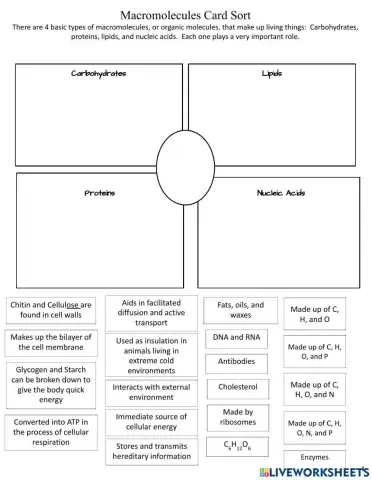 Biomolecules Card Sort
