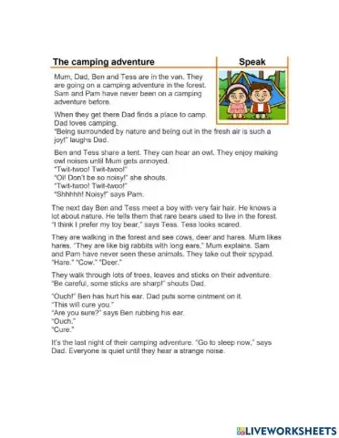 The Camping Adventure