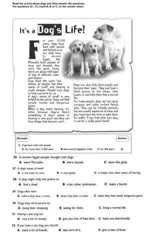 It's a dog's life - Reading - multiple choice