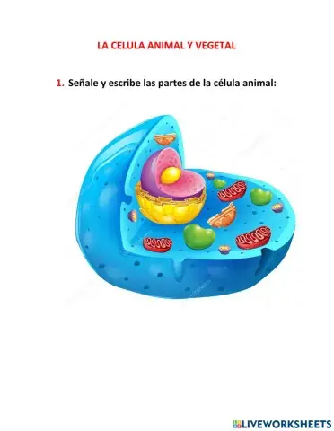 La célula animal y vegetal
