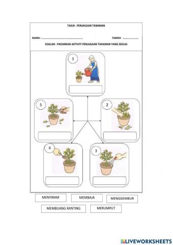 Asas Penjagaan Taanaman