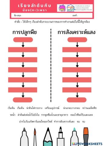 โฟลว์ชาร์ต ป4