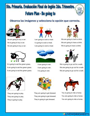 5to. Primaria NSDR-Final Test