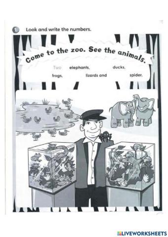 Year 1 unit 3 pet show