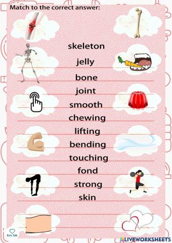 English Program - 6 Years Old