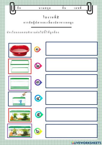การจัดตู้ปลาและเลี้ยงปลาหางนกยูง