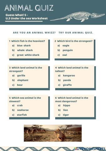 Animal quiz