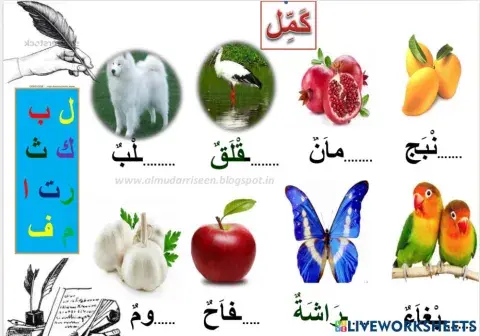 الحروف العربية