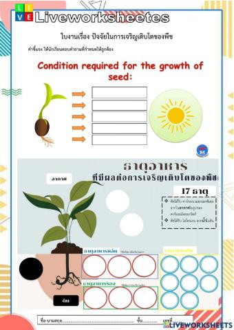 ใบงานปัจจัยการเจริญเติบโตของพืช