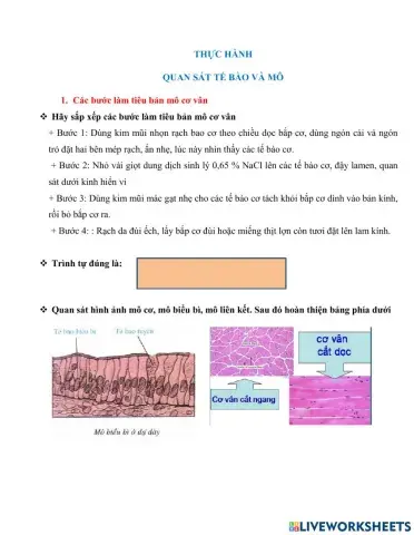 Sinh 8- Bài 5: thực hành quan sát tế bào và mô