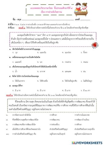 แบบทดสอบการอ่านจับใจความ ป.4 ภาษาไทยครูทราย