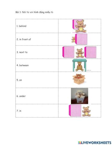 Từ chỉ vị trí (Lesson 3.1)
