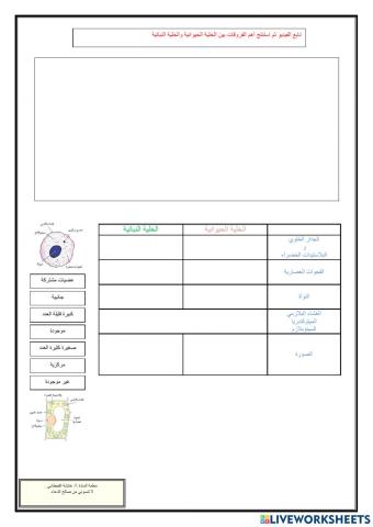 الخلية الحيوانية والنباتية
