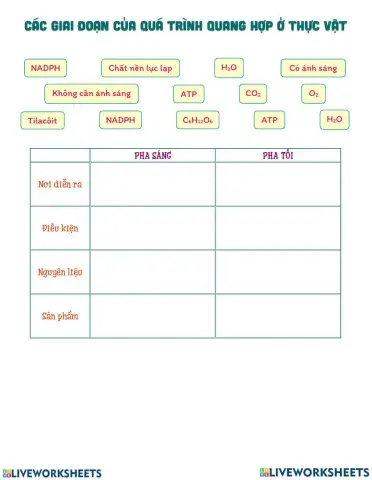 Quang hợp ở thực vật