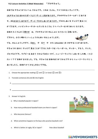 Y12 Japanese Leisure U2 Baseball