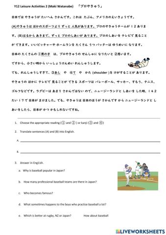Y12 Japanese Leisure U2 Baseball