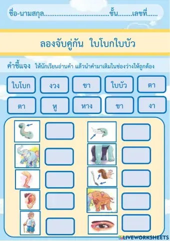 ใบโบกใบบัว