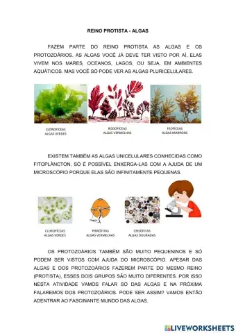 Reino protista - Algas