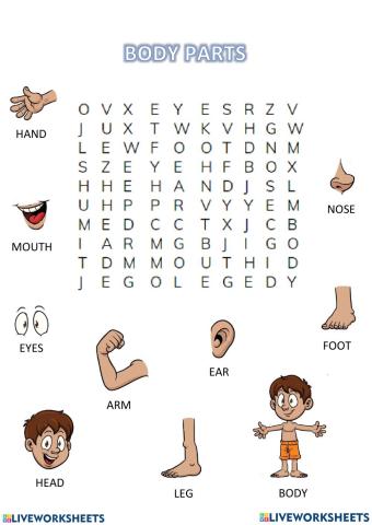 Body Parts
