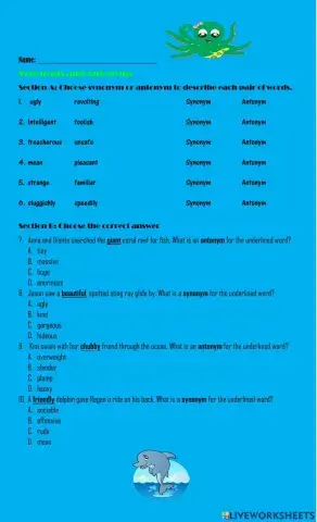 Synonyms and Antonyms