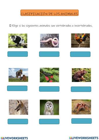 Ficha de evalucion diagnostica