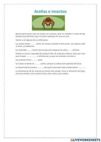 Lectura comprensiva (Insectos y arañas)