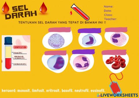 Mengenal sel darah