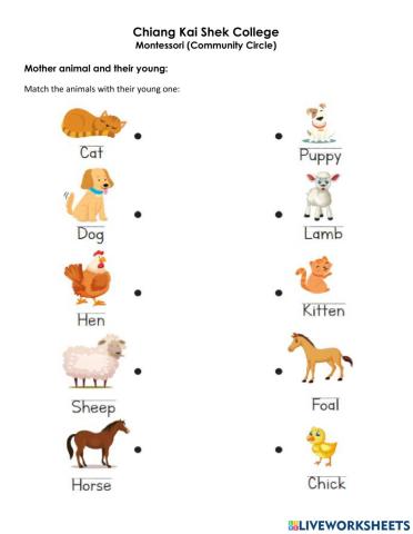 Mother animal and their young