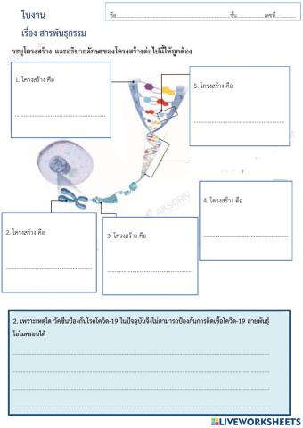 สารพันธุกรรม