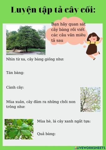 Luyện tập miêu tả cây cối