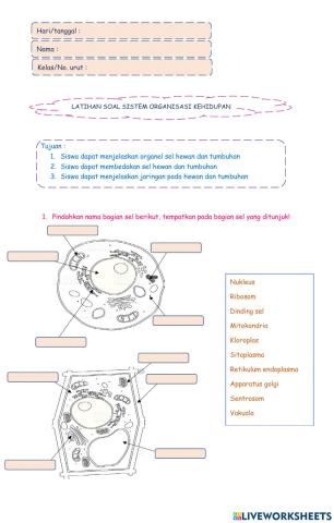 Latihan soal organisasi kehidupan