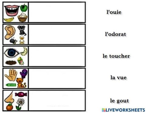 Les cinq sens - drag and drop 03
