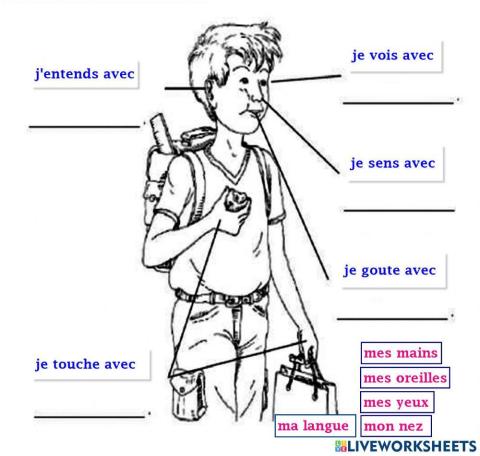 Les cinq sens - drag and drop 04