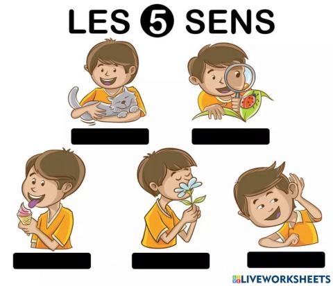 Les cinq sens - writing 02