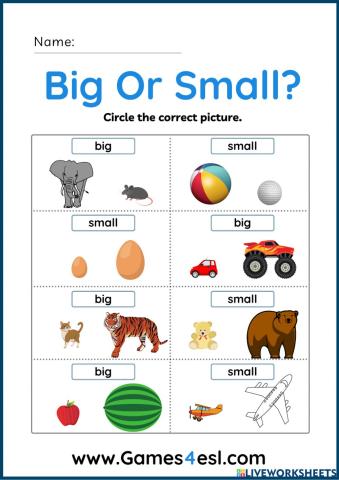 Measurement by size week 11